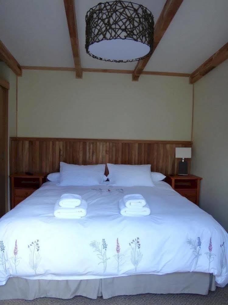 Shenu Patagonia Villa Punta Arenas Kültér fotó